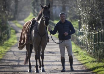 «Una buena equitación se ve en unos buenos resultados»