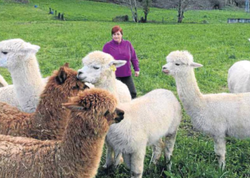 «Hoy en día no se dan demasiadas oportunidades para el emprendimiento en el entorno rural»